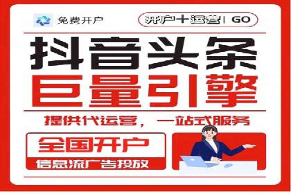 信息流广告的精准定位与效果优化案例分析